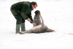 Killikus&reg; Fotographie